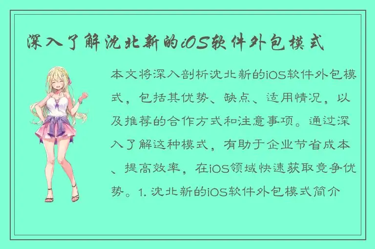 深入了解沈北新的iOS软件外包模式