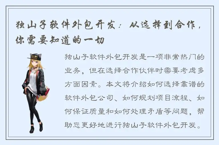 独山子软件外包开发：从选择到合作，你需要知道的一切