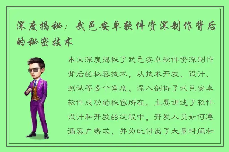 深度揭秘：武邑安卓软件资深制作背后的秘密技术