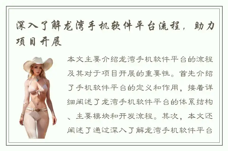 深入了解龙湾手机软件平台流程，助力项目开展