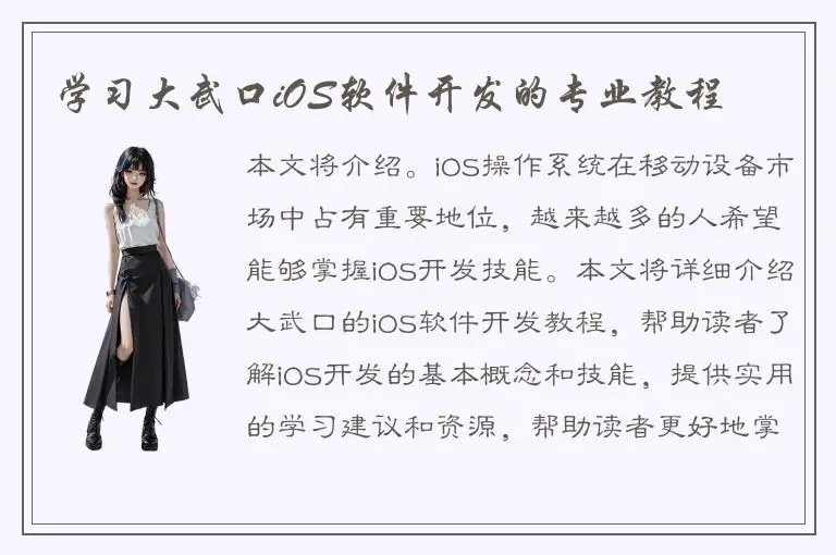 学习大武口iOS软件开发的专业教程