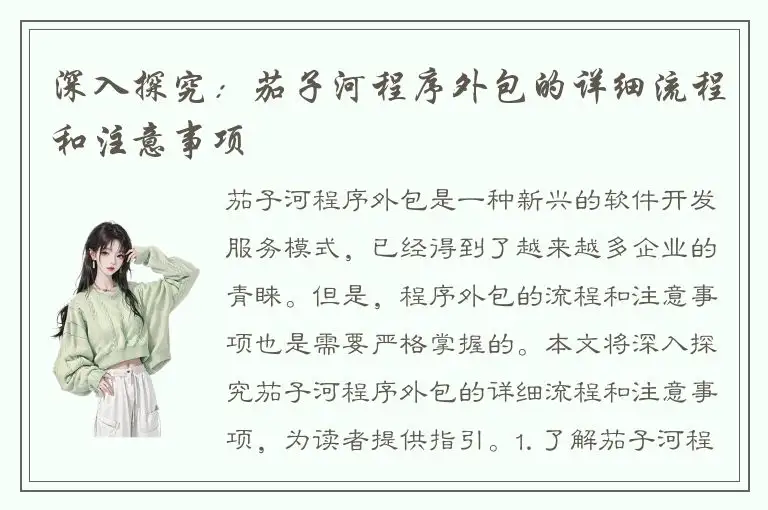 深入探究：茄子河程序外包的详细流程和注意事项