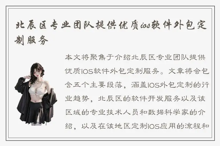 北辰区专业团队提供优质ios软件外包定制服务