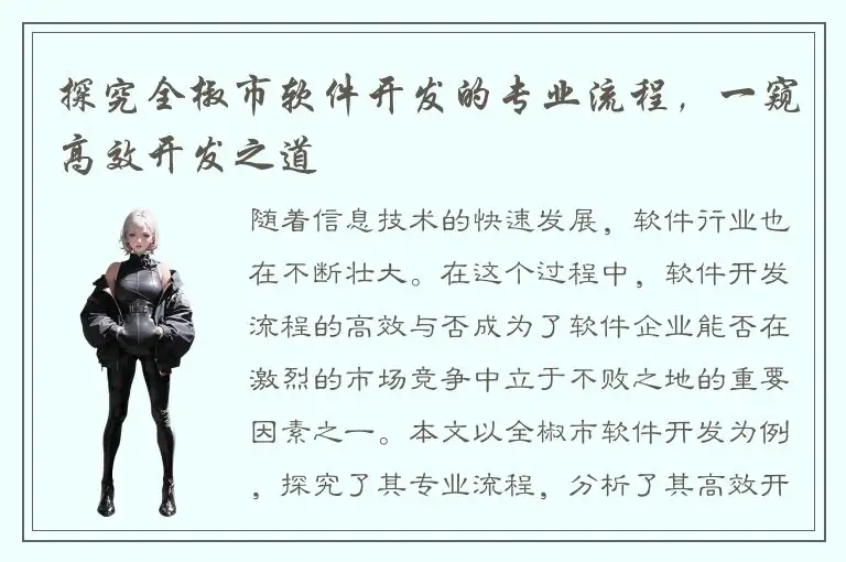 探究全椒市软件开发的专业流程，一窥高效开发之道