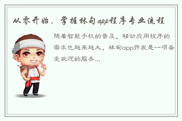从零开始，掌握林甸app程序专业流程