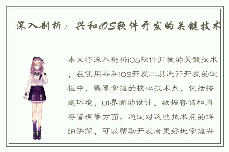 深入剖析：兴和iOS软件开发的关键技术