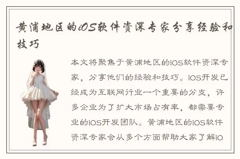 黄浦地区的iOS软件资深专家分享经验和技巧