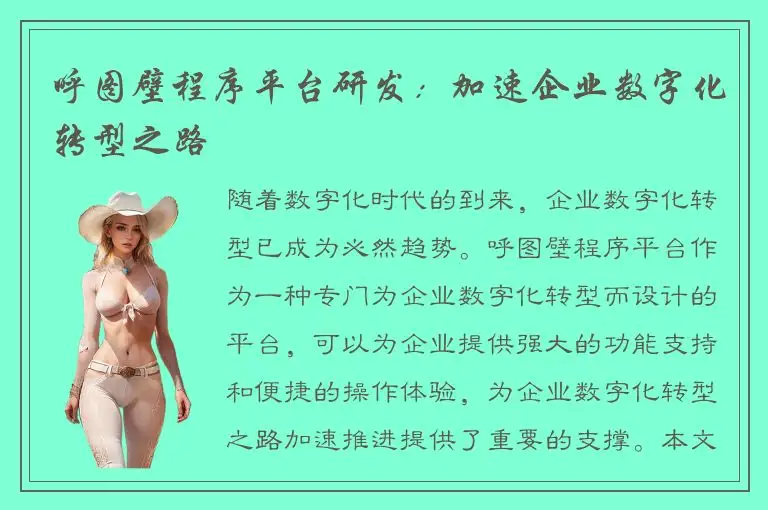呼图壁程序平台研发：加速企业数字化转型之路