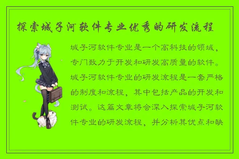 探索城子河软件专业优秀的研发流程