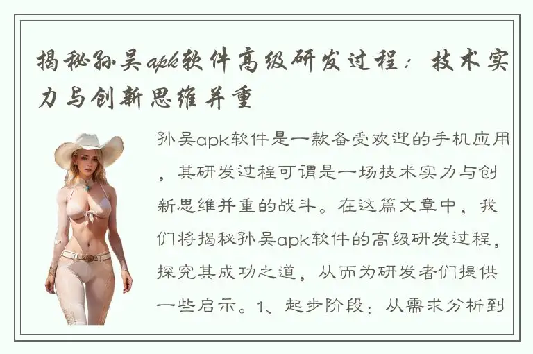 揭秘孙吴apk软件高级研发过程：技术实力与创新思维并重