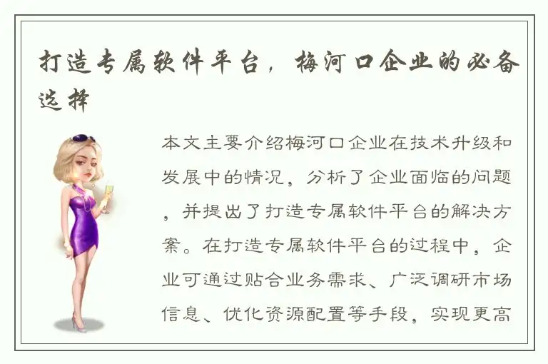 打造专属软件平台，梅河口企业的必备选择