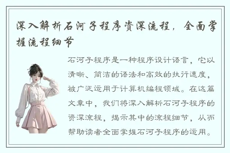 深入解析石河子程序资深流程，全面掌握流程细节