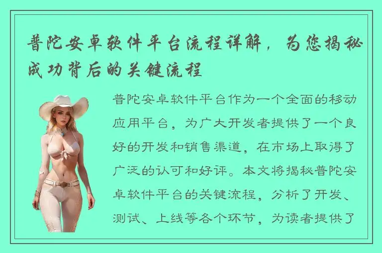 普陀安卓软件平台流程详解，为您揭秘成功背后的关键流程