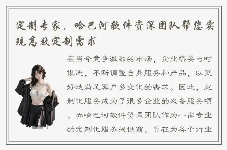 定制专家，哈巴河软件资深团队帮您实现高效定制需求