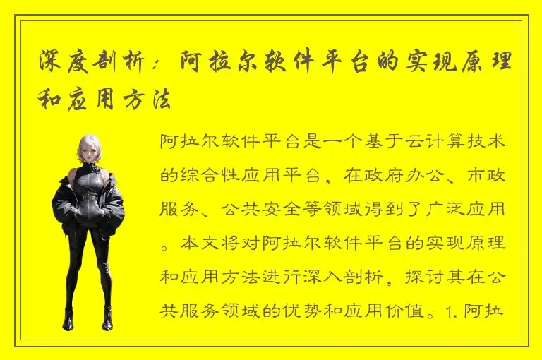 深度剖析：阿拉尔软件平台的实现原理和应用方法