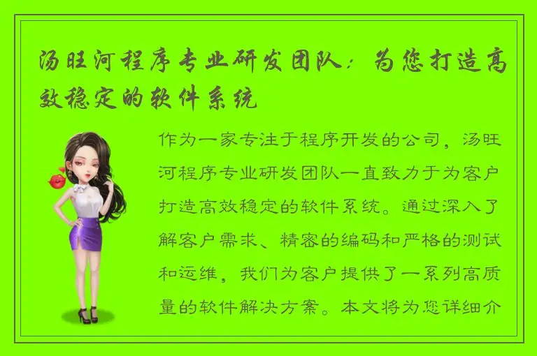 汤旺河程序专业研发团队：为您打造高效稳定的软件系统
