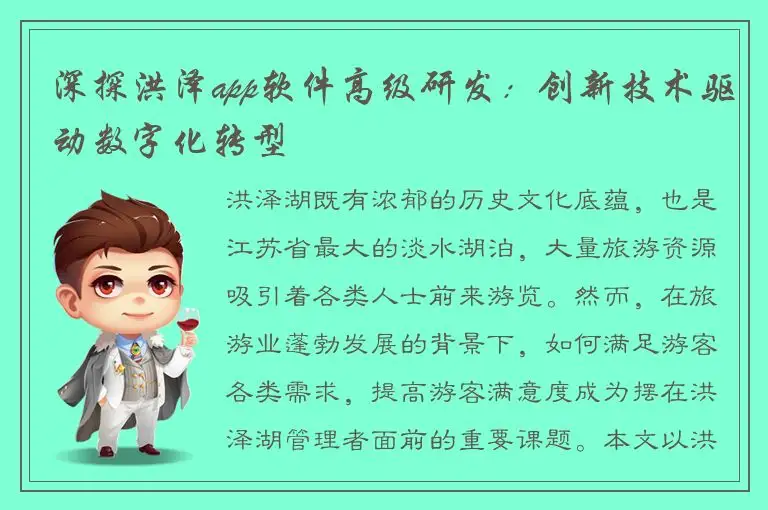 深探洪泽app软件高级研发：创新技术驱动数字化转型
