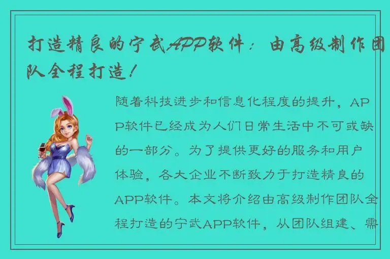打造精良的宁武APP软件：由高级制作团队全程打造！