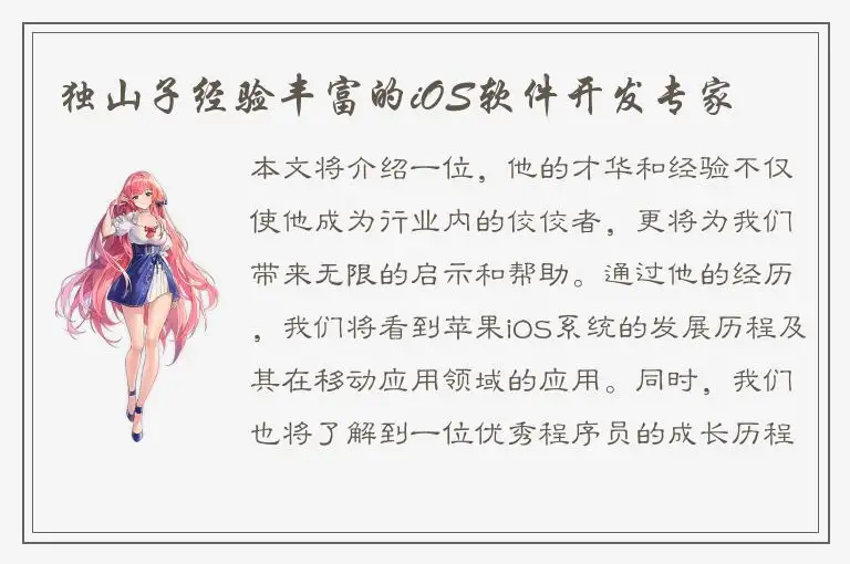 独山子经验丰富的iOS软件开发专家