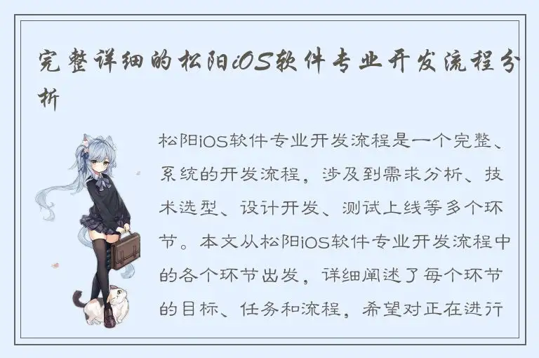 完整详细的松阳iOS软件专业开发流程分析