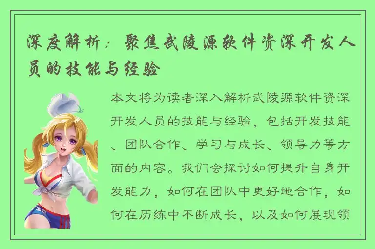 深度解析：聚焦武陵源软件资深开发人员的技能与经验