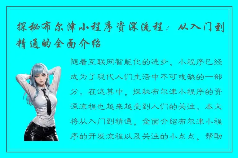 探秘布尔津小程序资深流程：从入门到精通的全面介绍