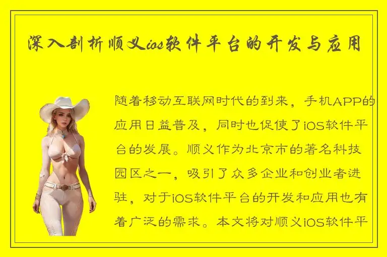 深入剖析顺义ios软件平台的开发与应用
