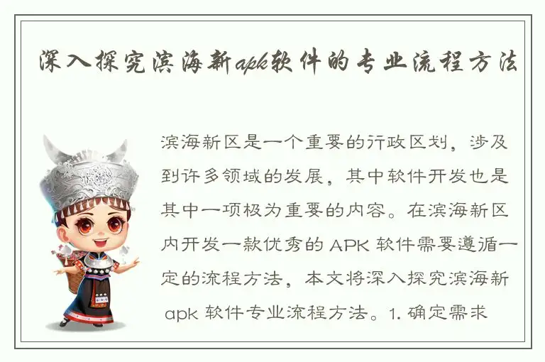 深入探究滨海新apk软件的专业流程方法