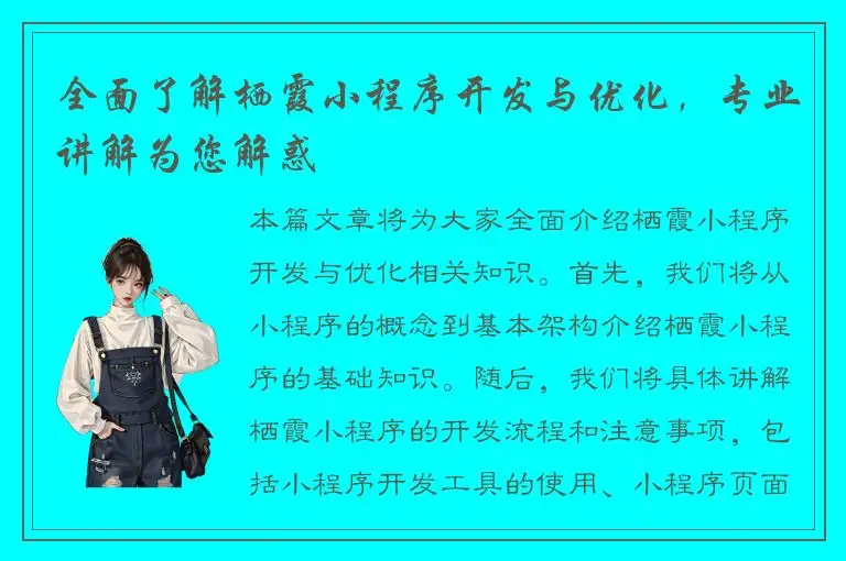全面了解栖霞小程序开发与优化，专业讲解为您解惑