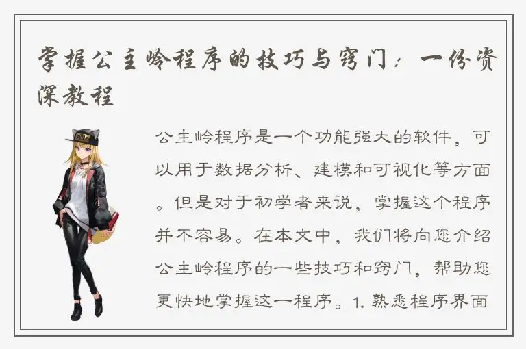 掌握公主岭程序的技巧与窍门：一份资深教程