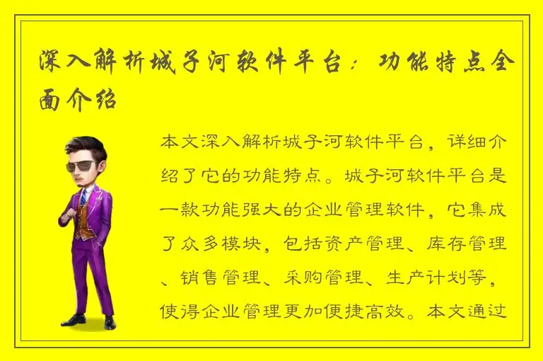 深入解析城子河软件平台：功能特点全面介绍