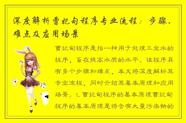 深度解析曹妃甸程序专业流程：步骤、难点及应用场景
