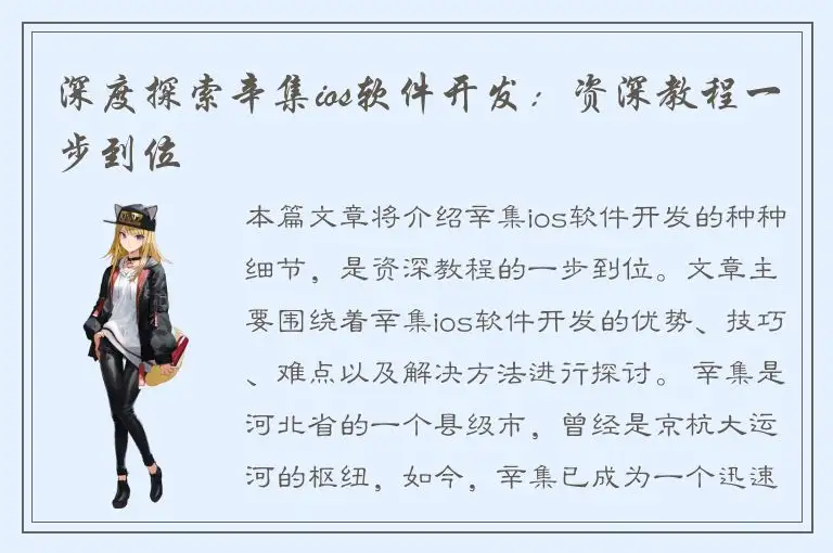 深度探索辛集ios软件开发：资深教程一步到位