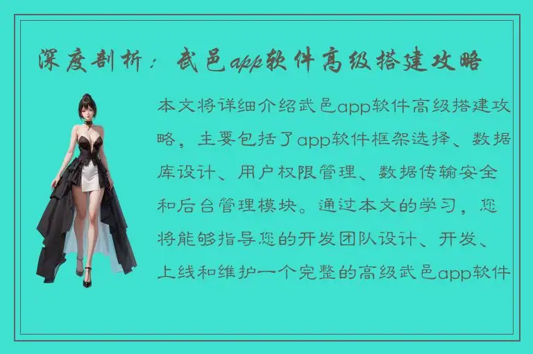 深度剖析：武邑app软件高级搭建攻略