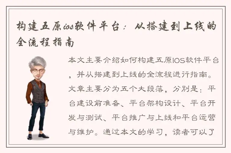 构建五原ios软件平台：从搭建到上线的全流程指南