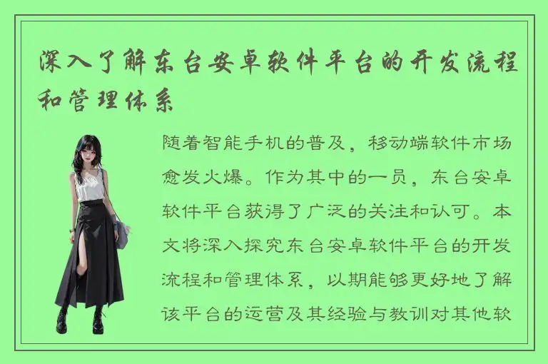 深入了解东台安卓软件平台的开发流程和管理体系