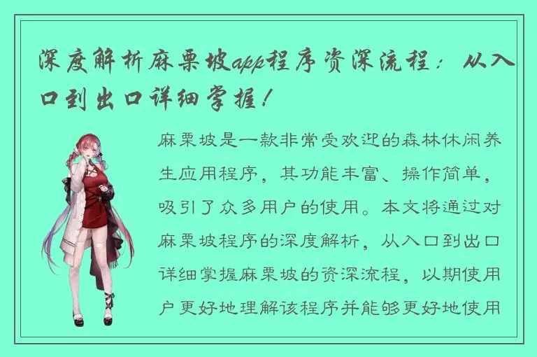 深度解析麻栗坡app程序资深流程：从入口到出口详细掌握！