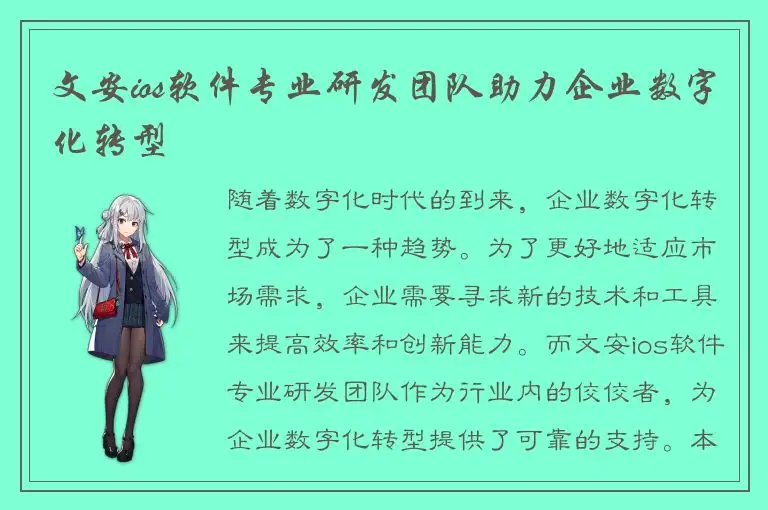 文安ios软件专业研发团队助力企业数字化转型