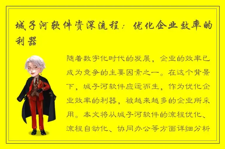 城子河软件资深流程：优化企业效率的利器