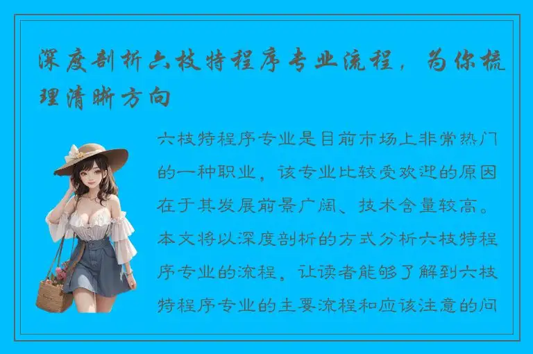 深度剖析六枝特程序专业流程，为你梳理清晰方向