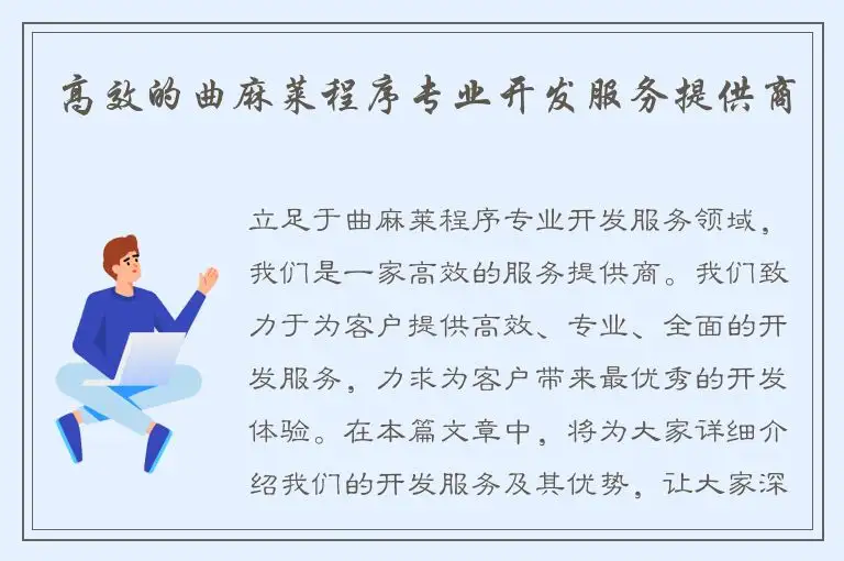 高效的曲麻莱程序专业开发服务提供商