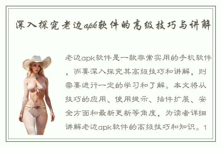 深入探究老边apk软件的高级技巧与讲解