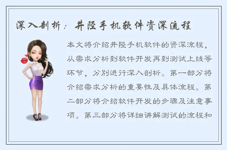 深入剖析：井陉手机软件资深流程