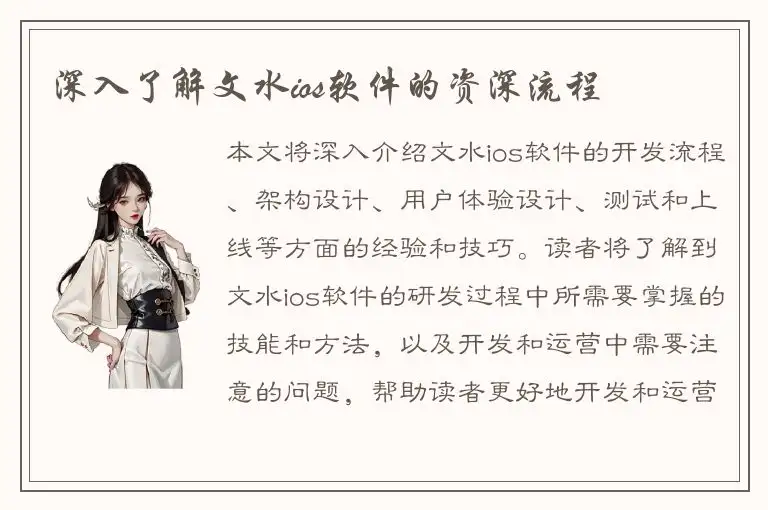深入了解文水ios软件的资深流程