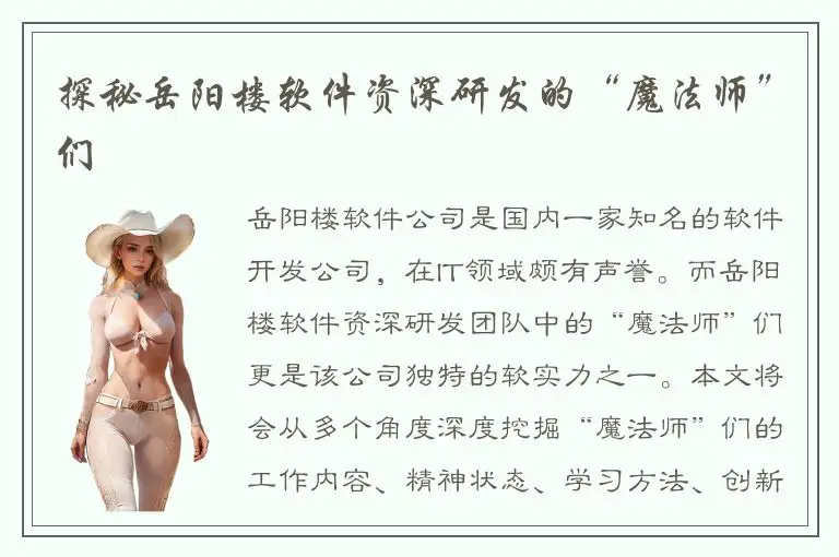 探秘岳阳楼软件资深研发的“魔法师”们
