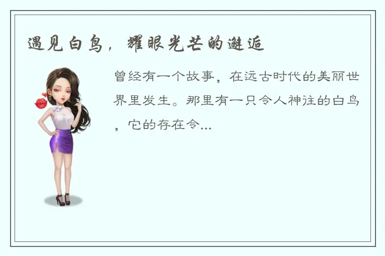 遇见白鸟，耀眼光芒的邂逅