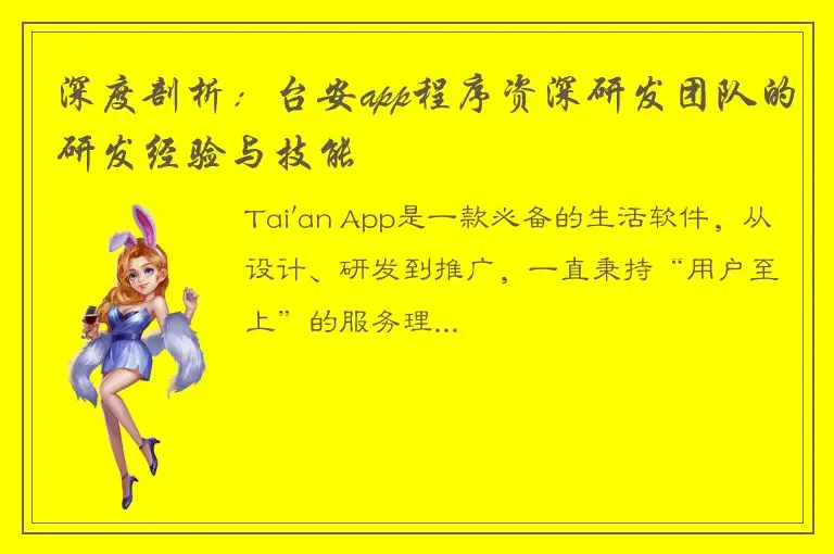 深度剖析：台安app程序资深研发团队的研发经验与技能