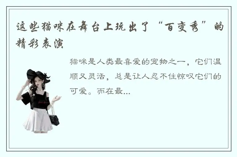 这些猫咪在舞台上玩出了“百变秀”的精彩表演